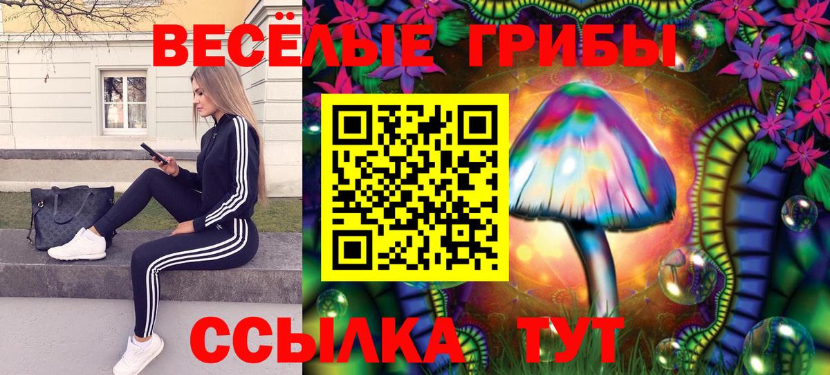 Галлюциногенные грибы GOLDEN TEACHER Якутск