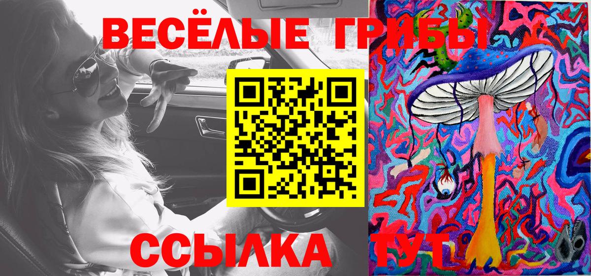 Галлюциногенные грибы Psilocybine cubensis  Псилоцибиновые грибы GOLDEN TEACHER  Якутск  наркотики  Вход с VPN 
